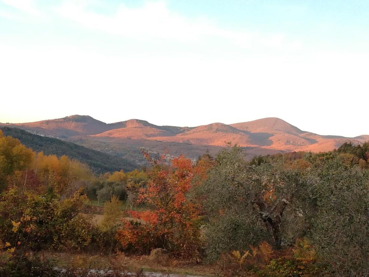 Podere Di Maggio - Glamping Tent 3 Санта Фиора Екстериор снимка