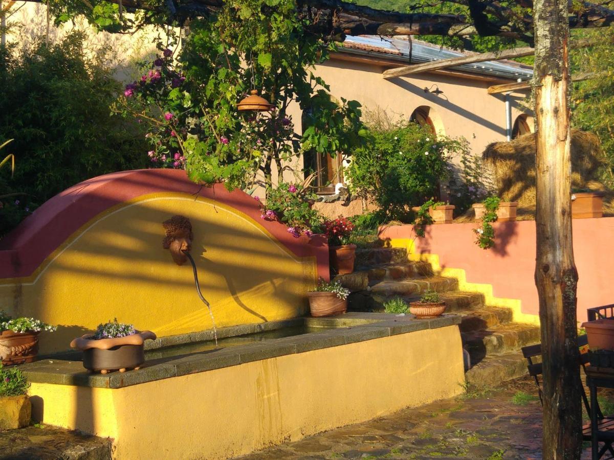 Podere Di Maggio - Glamping Tent 3 Санта Фиора Екстериор снимка