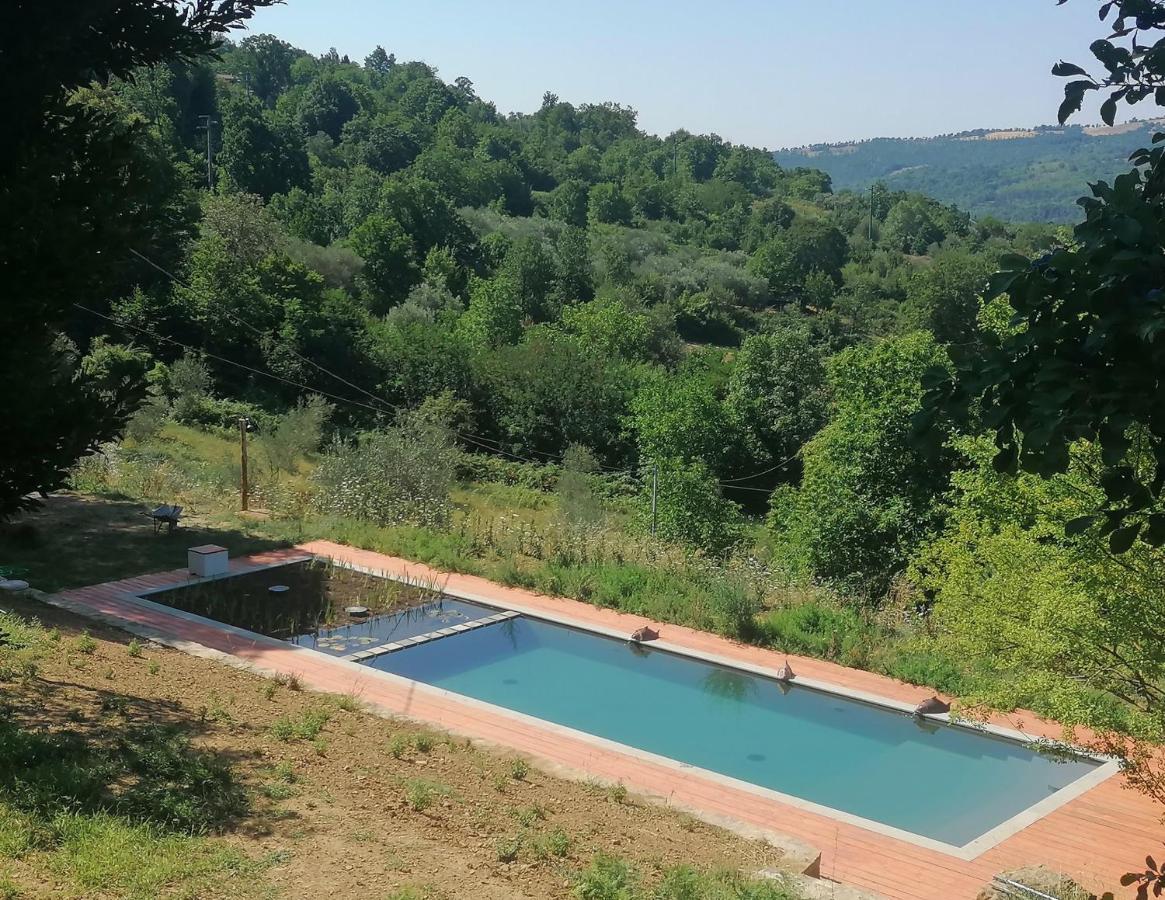 Podere Di Maggio - Glamping Tent 3 Санта Фиора Екстериор снимка