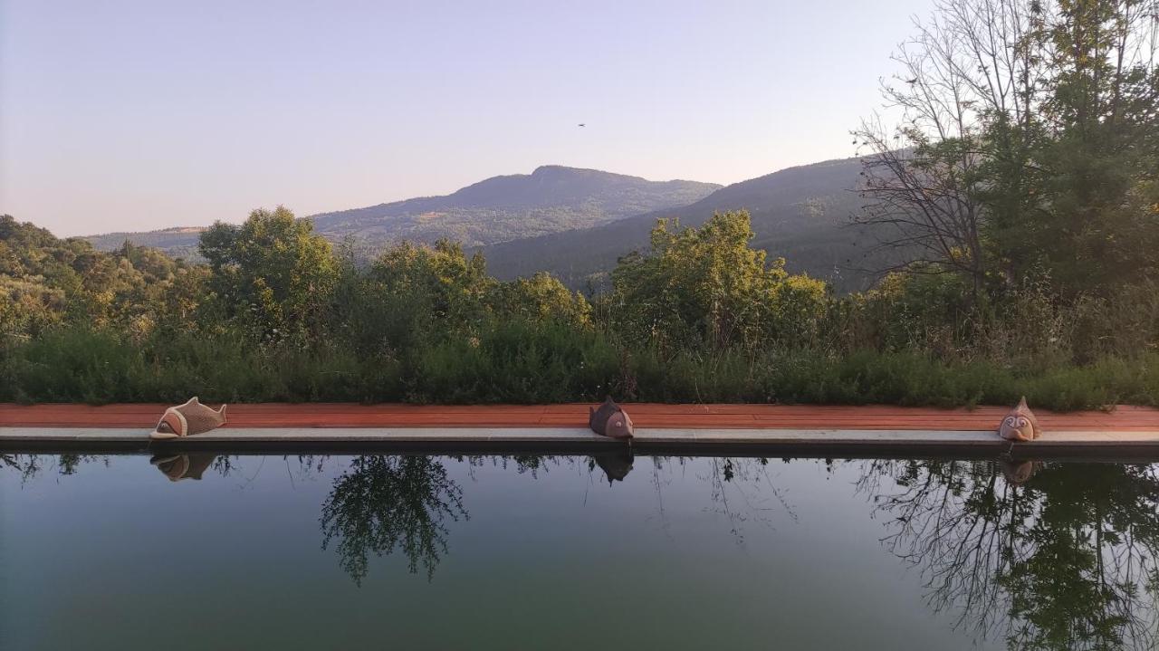 Podere Di Maggio - Glamping Tent 3 Санта Фиора Екстериор снимка